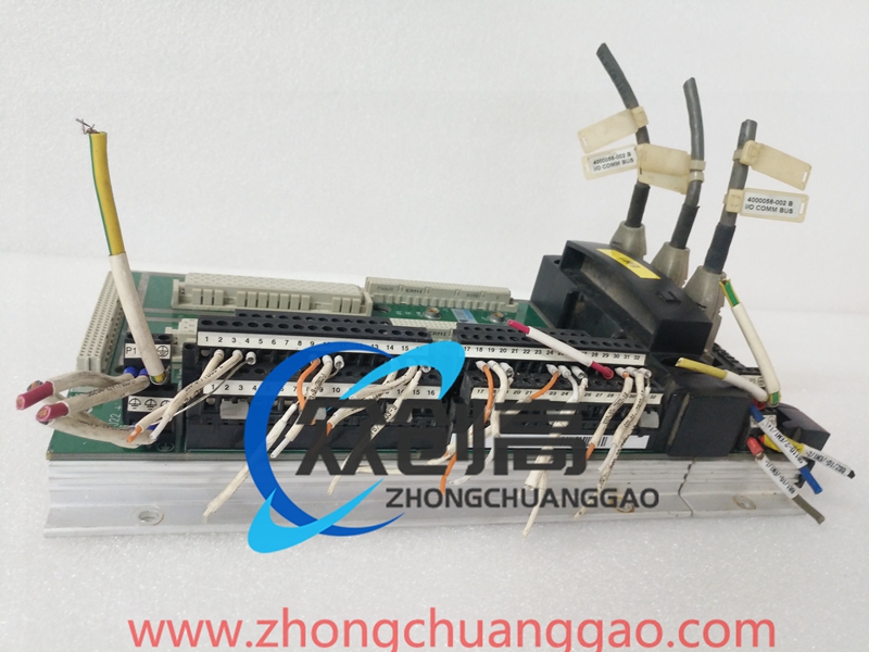 TRICONEX 2381 (3).jpg