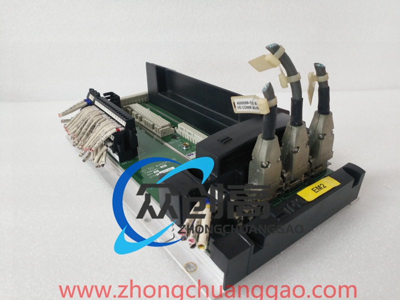 TRICONEX 2401 (2).jpg