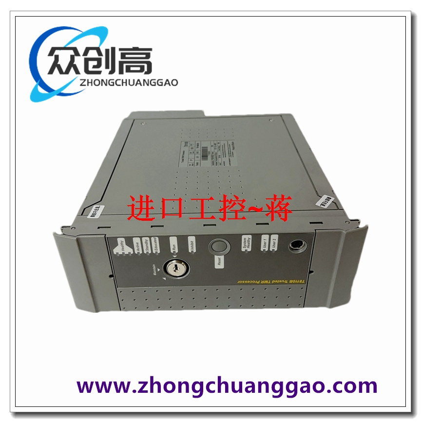 ICS TRIPLEX P8191 防护罩