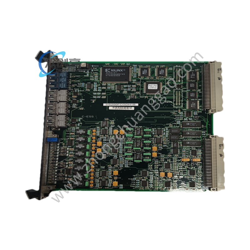 DS200FCGDH1B (2).jpg